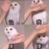 明古地恋